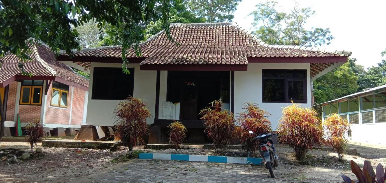 Sukamade Adventure Tour Package Bed & Breakfast Banyuwangi  Exterior photo